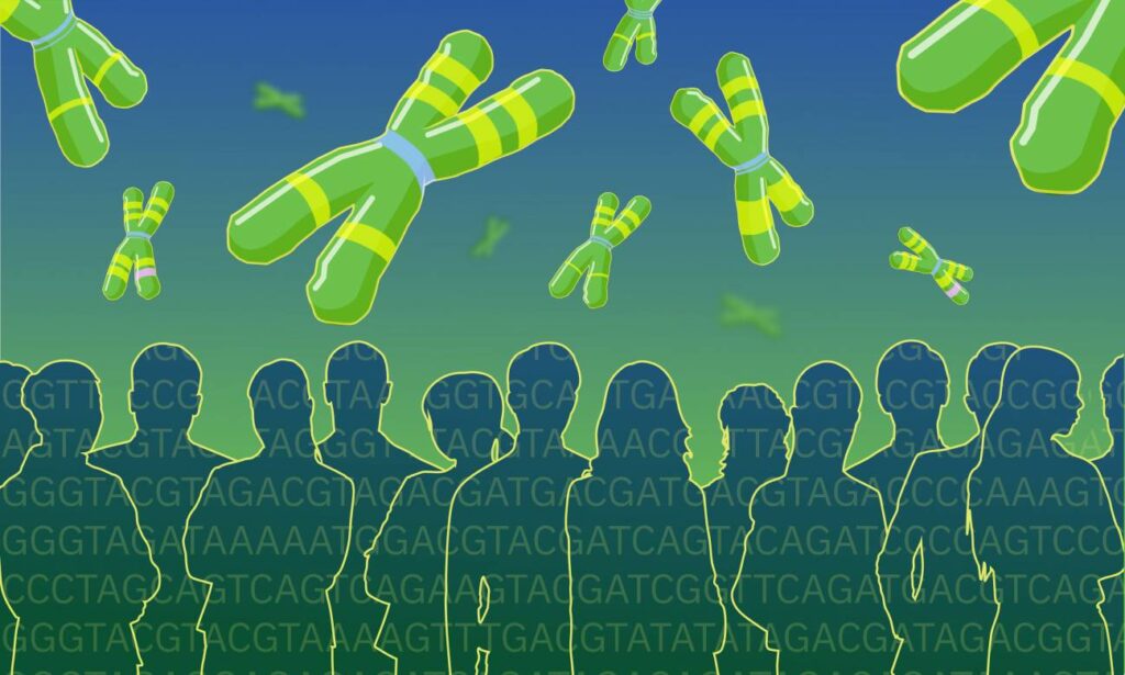 Reescriben el genoma humano con miles de variaciones antes invisibles