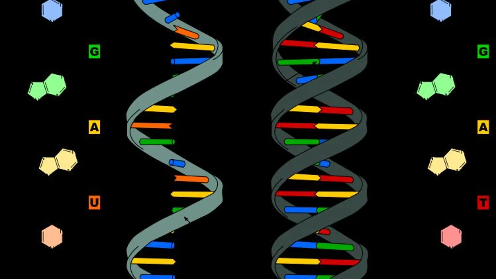 Científicos hallan la posible clave química del origen del ARN
