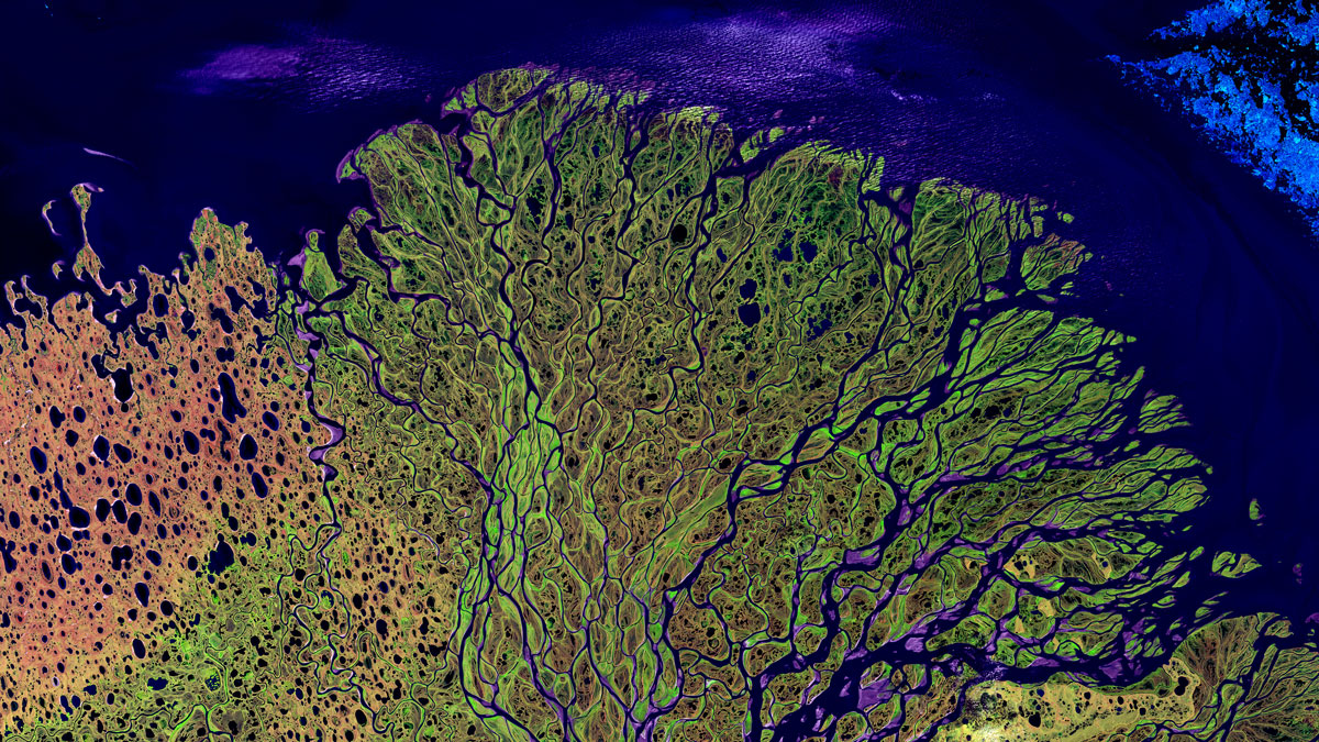 Arctic Rivers Trade Inorganic Nitrogen for Organic