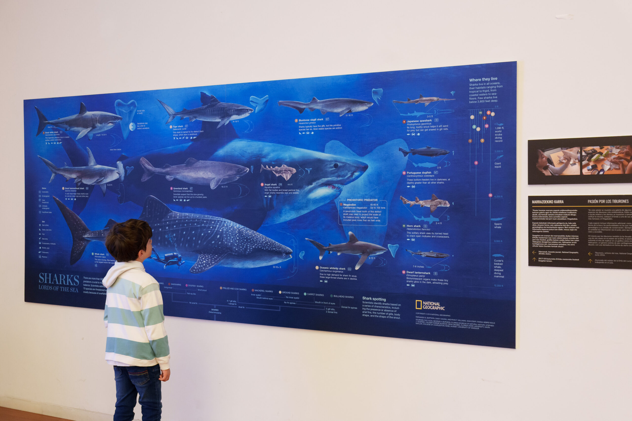 Fernando G. Baptista, infografia zientifikoaren erreferentea, bere ‘bitxiak’ erakusten ari da Bizkaia Aretoa-EHUn