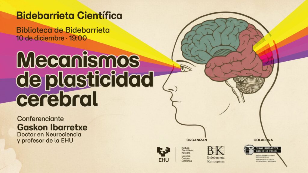 La capacidad de adaptación y recuperación del cerebro, tema central de la siguiente sesión de Bidebarrieta Científica