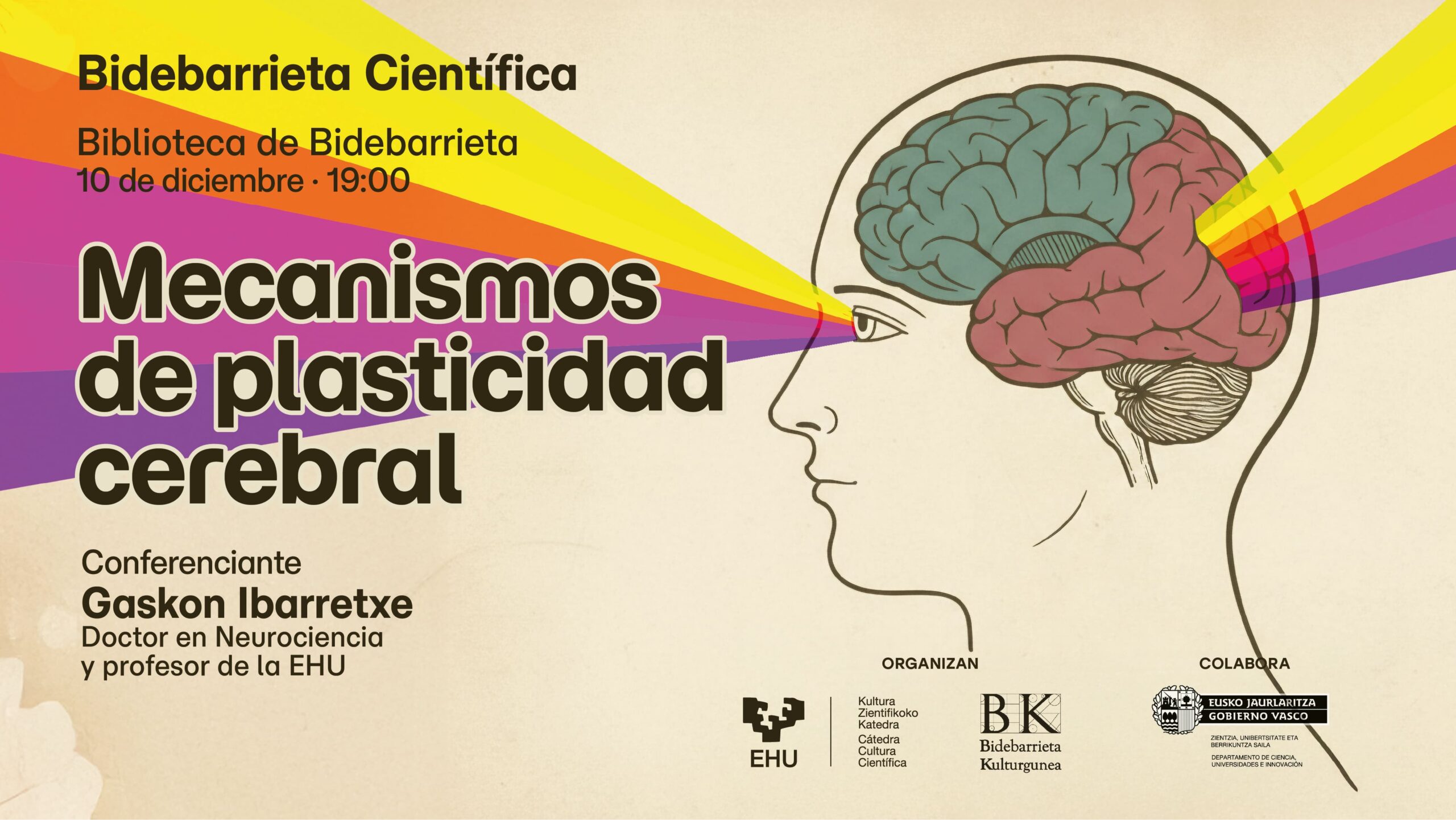La capacidad de adaptación y recuperación del cerebro, tema central de la siguiente sesión de Bidebarrieta Científica