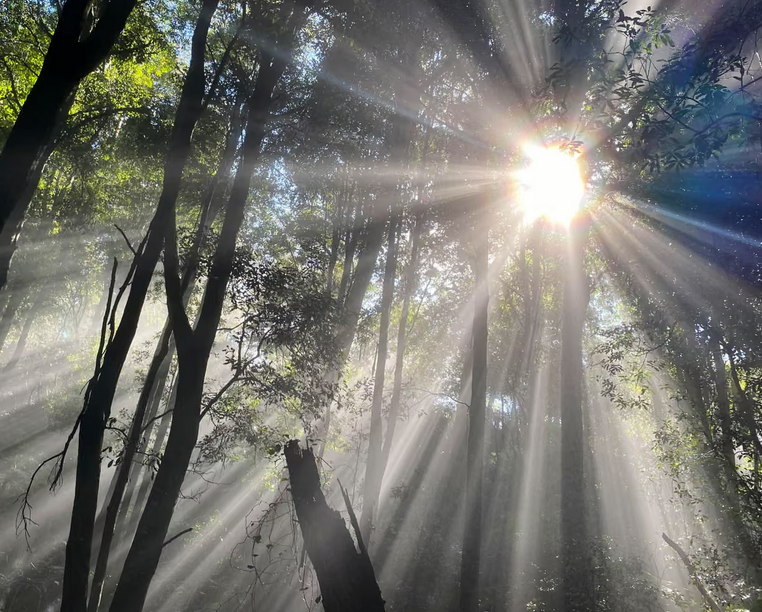 We can safely experiment with reflecting sunlight away from Earth. Here’s how