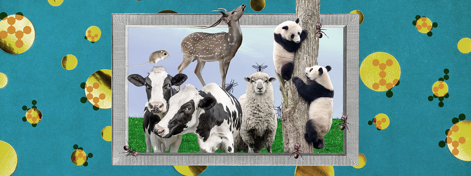 ¿Cómo obtienen aminoácidos esenciales los que solo comen plantas?