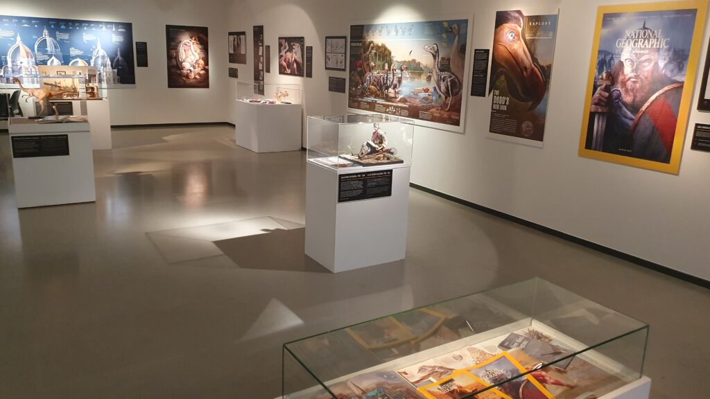 Arkeologia Museoa acoge la exposición «Fernando G. Baptista. El explorador de la infografía científica»