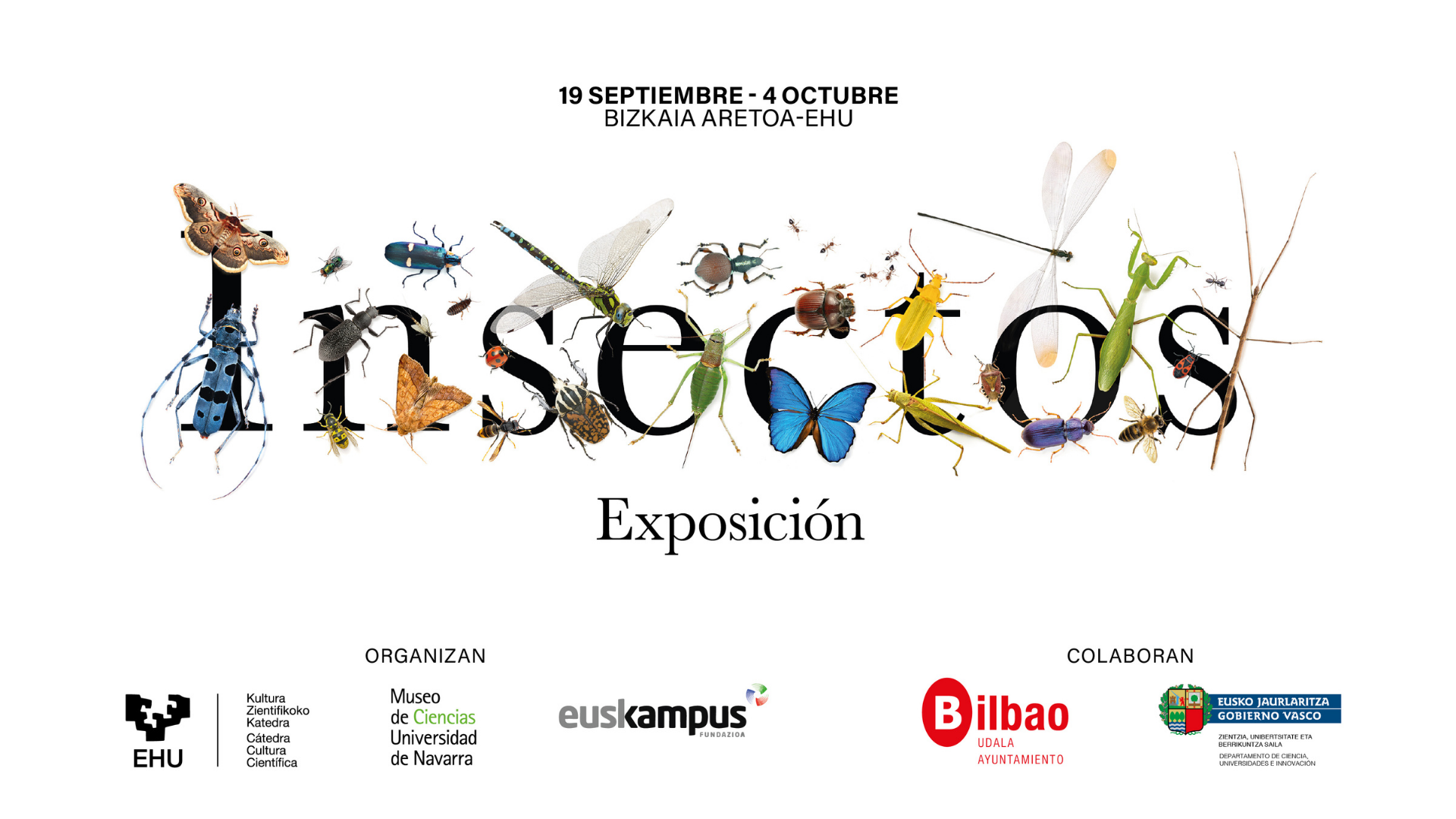 Exposición «Insectos. Todo lo que cuentan»