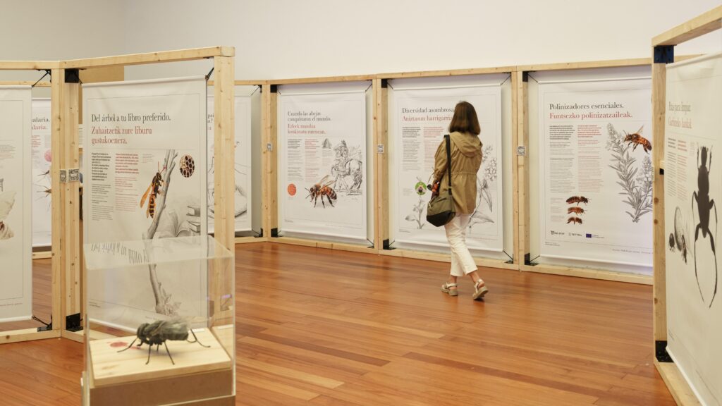 Los insectos y todo lo que cuentan, protagonistas de una nueva exposición en Bizkaia Aretoa-EHU